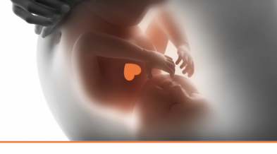18. Brighter Storks a Perinatal Wellbeing Programme﻿ 2025